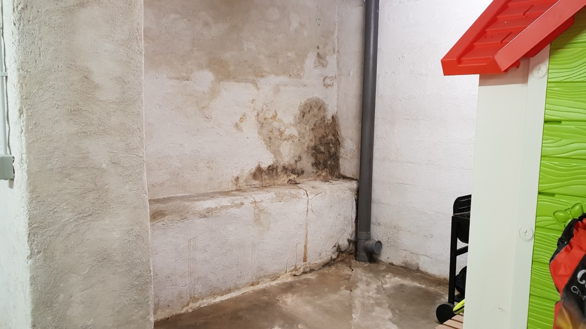 Infiltrations d'eau - Expertise humidité à Saint-Denis